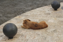 20160215_Dominican-Republic_076