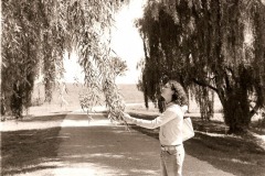 Photo.ClaudTree